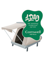 Endagsovernatning by Comwell